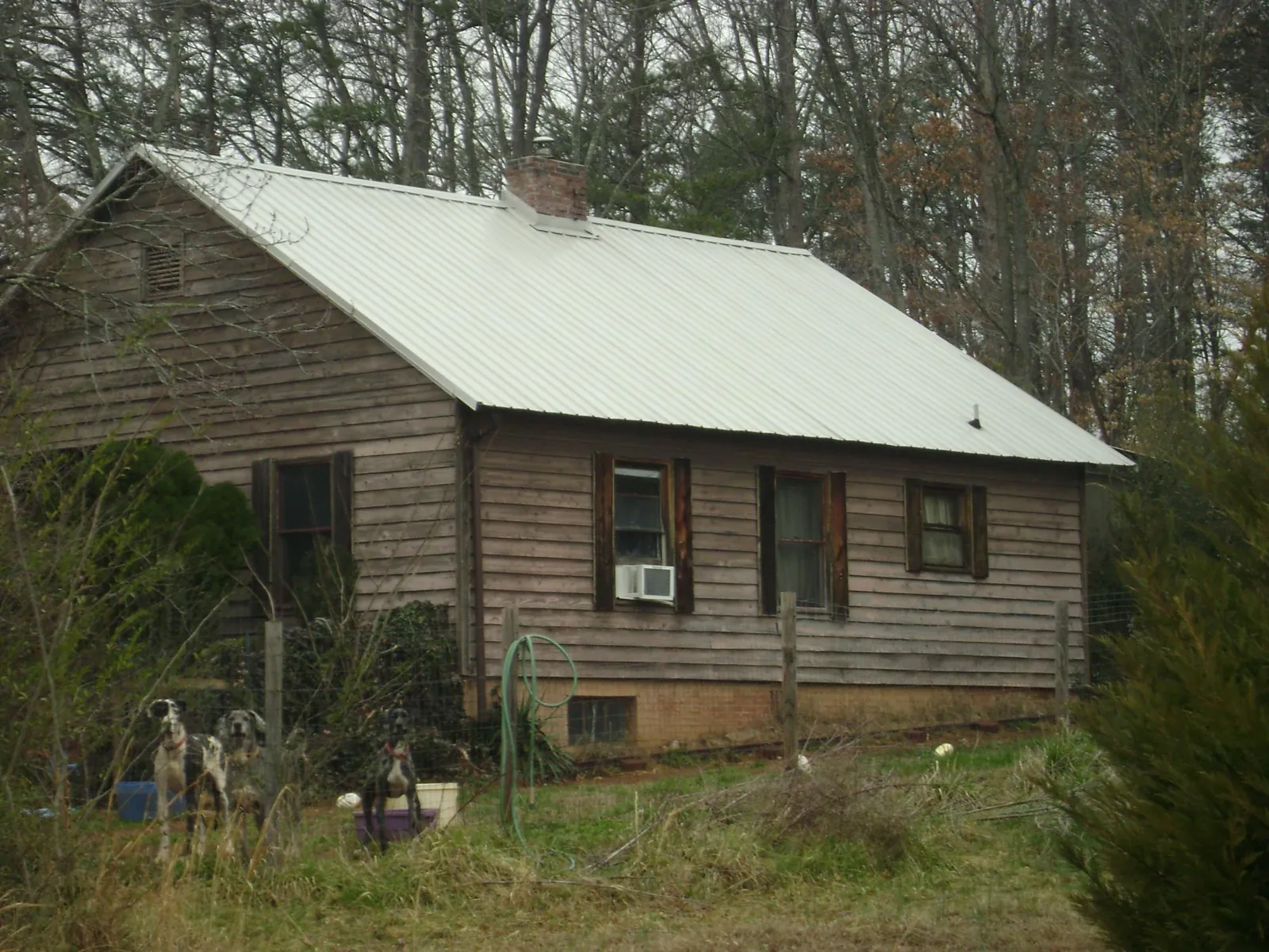 White metal roof on an old wood sided farmhouse, from a Metal Roof Installation job in South Wellfleet